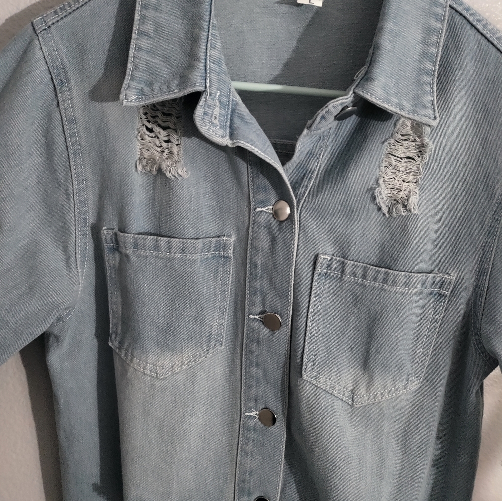 Large Jean Jacket - Picture 3 of 7